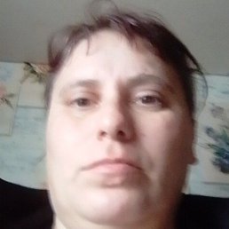 ������, ������, 41 ���