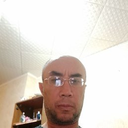 , , 51 