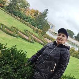 , 65, 
