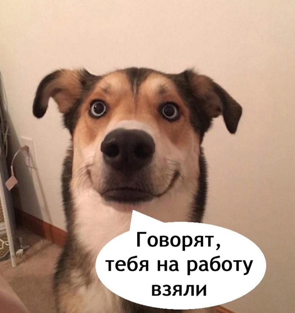 .