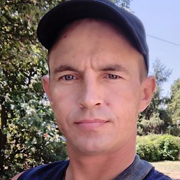 �������, ���������, 37 ���