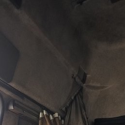 �����, 42 ����, �������