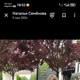 �������, ���������, 46 ���