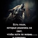 ���� ����, ��������, 36 ��� - ��������� 10 ���� 2026