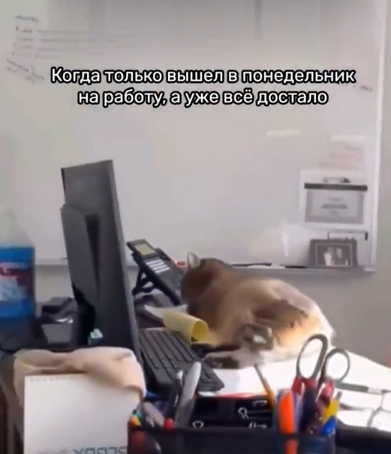  ,      , ? - 2