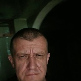 , 50, 