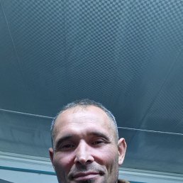 , 43, 