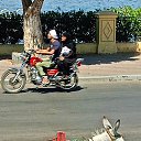 ���� ��������, ������ ��������, 62 ���� - ��������� 29 ������ 2025 � ������ �������������