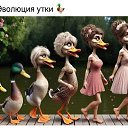 ���� ����, �����������, 53 ���� - ��������� 6 ������ 2024 � ������ ������� �������.�
