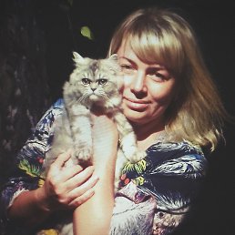 Alina, �����������