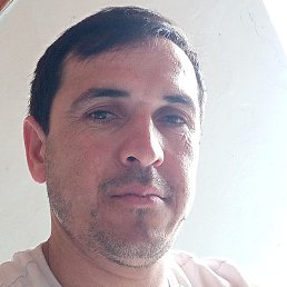 ������� �������, �����-���������, 33 ����