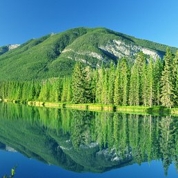 ���� ������, ����, 51 ��� - ��������� 23 ������� 2024