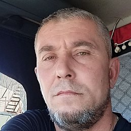 ��������, ��������, 46 ���