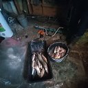 ���� ������, ����������, 29 ��� - ��������� 25 ������ 2024 � ������ ���� ����������