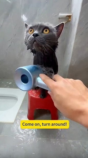 ��� ���� �� ��� - ��� ����� �� �����! P.S ���� �����-�� ��������� �� ���������...