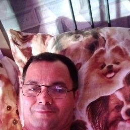  , 51, 