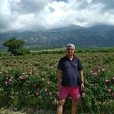 rosevaley �� ������� ���� ����������