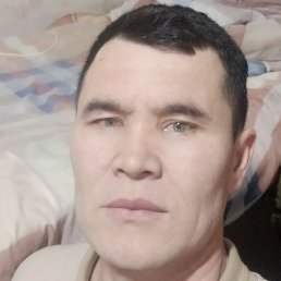 ������, ������, 41 ���