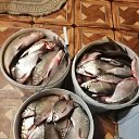 ���� �������, �����������, 48 ��� - ��������� 2 ������ 2026 � ������ ���� ����������