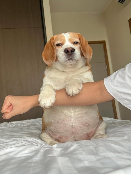    ,    ,     .  ,  , ... - 9