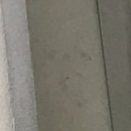 �������, �������, 24 ����