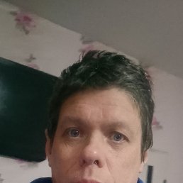 ���� ������, �����, 41 ��� - ��������� 21 ������� 2026