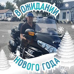 �������� ������������, ������, 46 ���