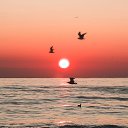 ���� �����, ���, 70 ��� - ��������� 24 ������� 2023 � ������ ���� ����������