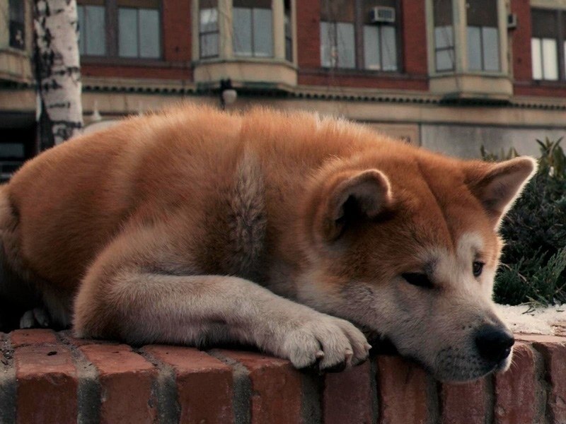 �� ���� ��� �����, � �� ����� � ��� ��������� �� �����.