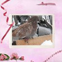 ���� ������, ����-��� - ��������� 9 ���� 2025 � ������ ���� �� ���� � ������� ������� � �������. ����� 4�