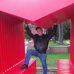 ����, ������, 44 ����