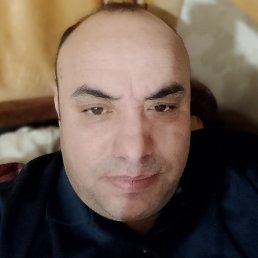 �������, �����-���������, 37 ���