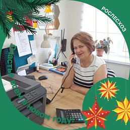 ����-�������, ���������, 51 ���