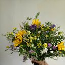 ���� �������, ������ - ��������� 11 ������� 2025