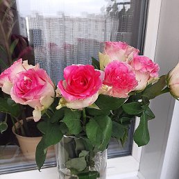 ��������, ���������, 61 ���