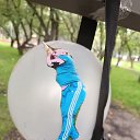 ���� �����, ������, 45 ��� - ��������� 10 ������� 2024 � ������ ���� ����������