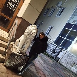 ���, �������, 48 ���