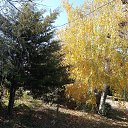 ���� ������, ������������ - ��������� 19 ������ 2023 � ������ ���� ����������
