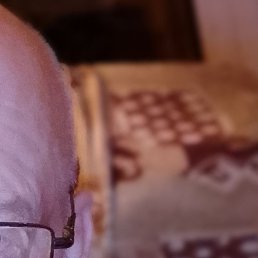 ������, ������, 64 ����