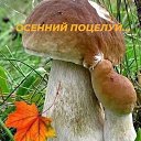 ���� �������, ����������, 64 ���� - ��������� 5 ������� 2025 � ������ ���� ����������