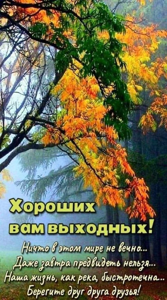   - 13  2025  11:10