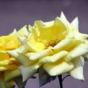 ���� ������, ������ - ��������� 14 ���� 2025 � ������ ������ ��������