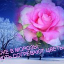 ���� �������, ���� - ��������� 11 ������� 2025 � ������ ������ ��������