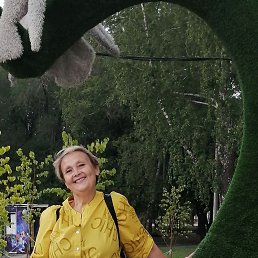 ���� ��������, ���������, 54 ���� - ��������� 18 ������ 2024