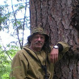 �����, ����������, 81 ���