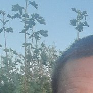 , 54 , 