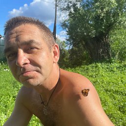 �������, ������, 47 ���