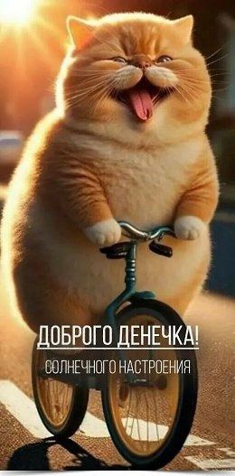   - 23  2024  14:39