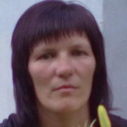 �����, ���������, 51 ���