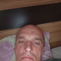 ���� �������, �����-���������, 41 ��� - ��������� 29 ������� 2026